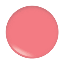 Load image into Gallery viewer, Lip Gloss