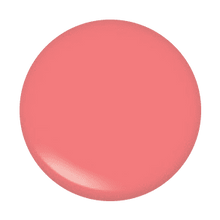 Load image into Gallery viewer, Lip Gloss