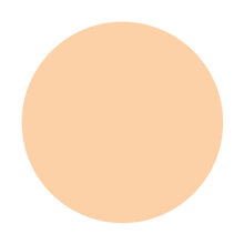 Load image into Gallery viewer, Touch Up Veil
