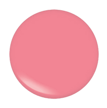Load image into Gallery viewer, Lip Gloss

