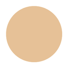 Load image into Gallery viewer, Touch Up Veil
